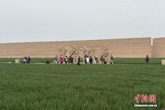 原来你是这样的河南｜体验经济激活消费“一池春水”